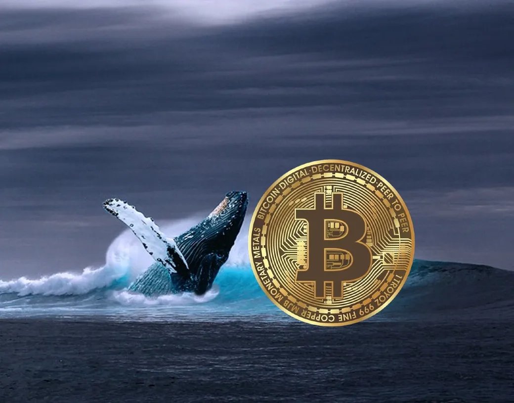比特币巨鲸增持41,025枚BTC，持仓量创六周新高