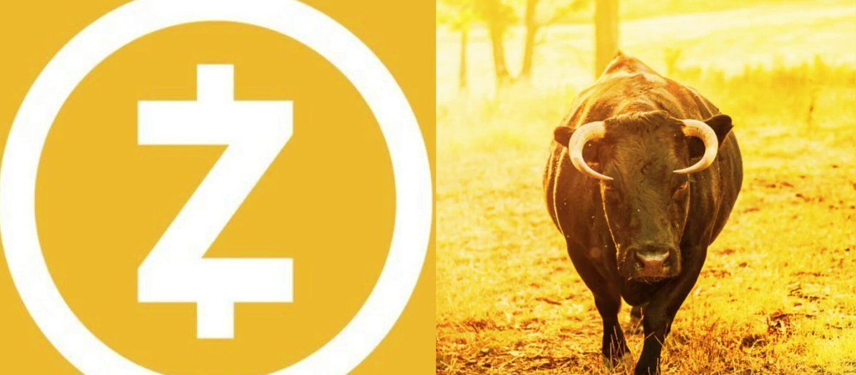 这位鲸鱼对$ZEC极度看好……