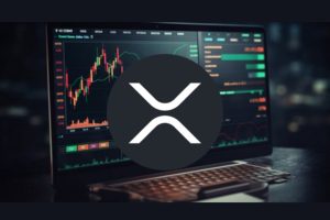 专家分享XRP未来几个月的走势展望