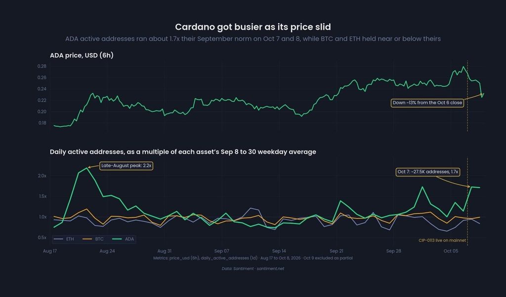 Cardano Activity Chart
