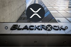 XRP的“黑石时刻”：这位顶级投资者如是说