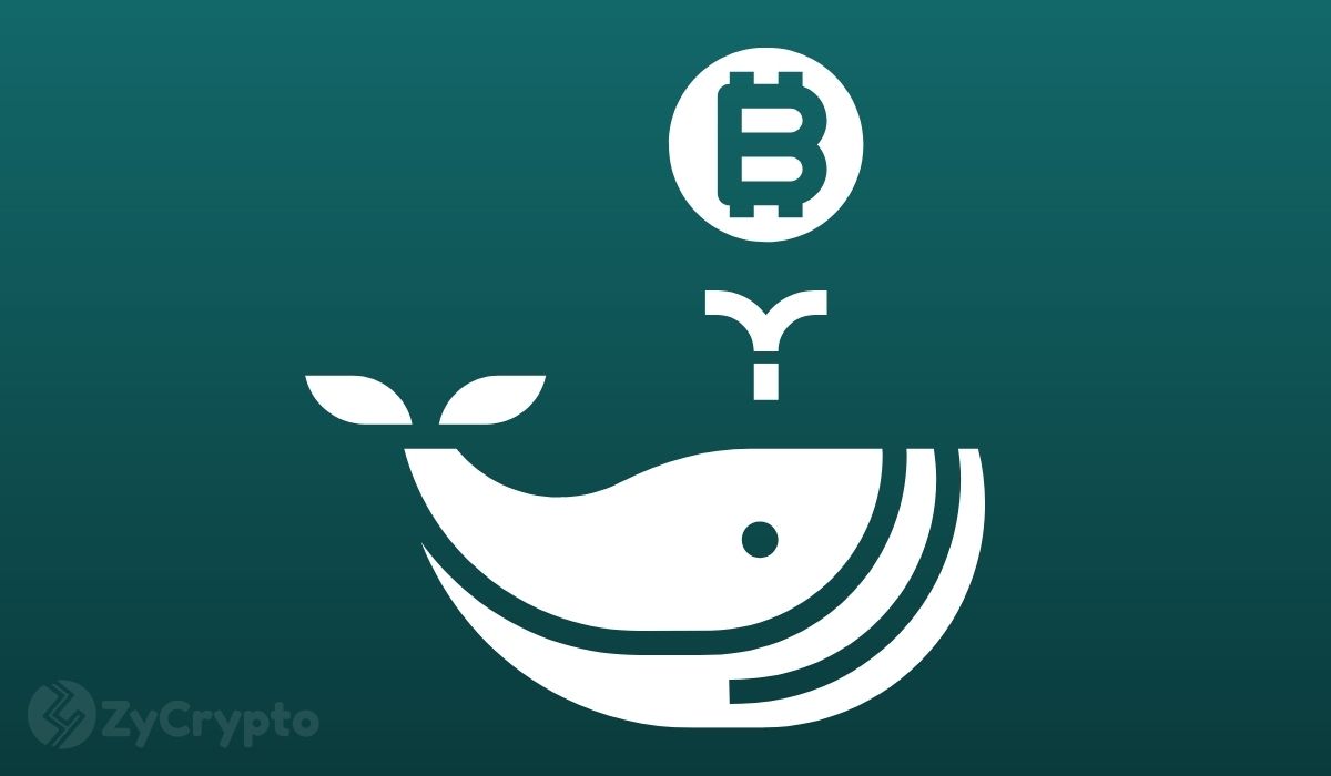 新鲸鱼现占比特币已实现市值的三分之一，链上指标指向BTC目标价89,000美元