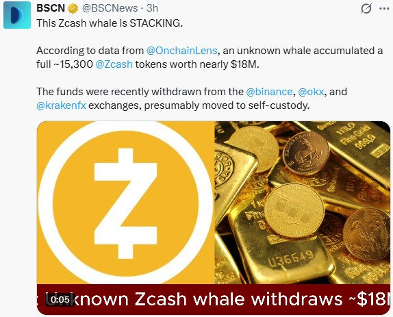 Zcash Whale Activity Image