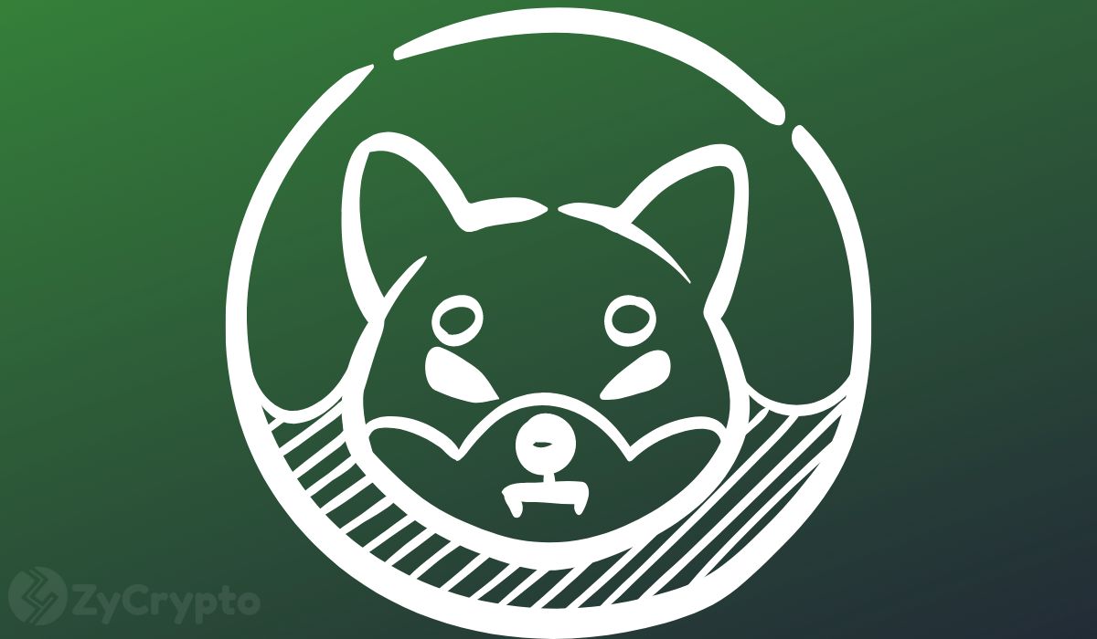 柴犬币瞄准最看涨的第三季度，740亿枚SHIB离开交易所，引发新一轮囤积