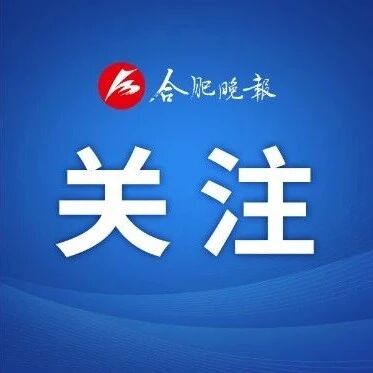 十年一芯，“合”以长鑫？