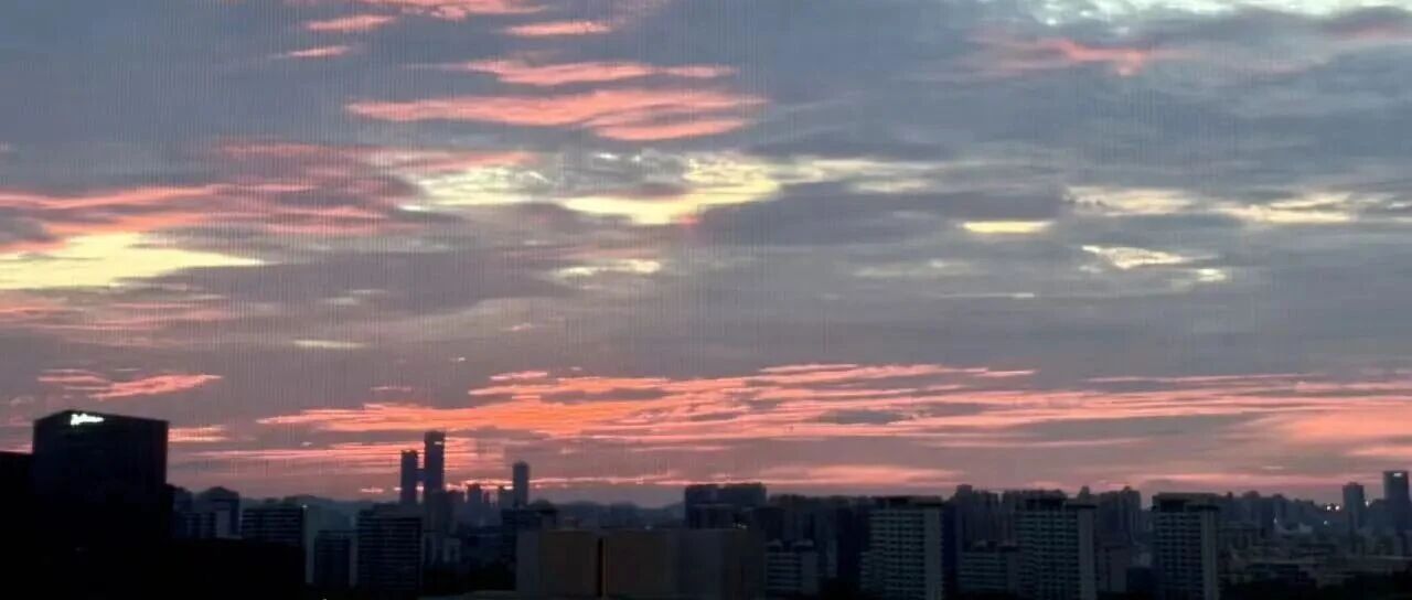 韩国股市清算进展怎么样了？