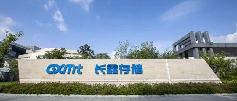 长鑫登顶合肥赢家，国产算力盈利爆发