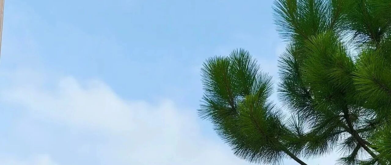 说起比特币，同事去年买了7万