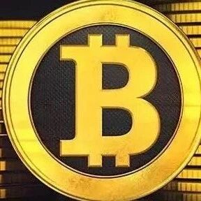 从“洗钱指数”到“数字黄金”！比特币如何征服华尔街