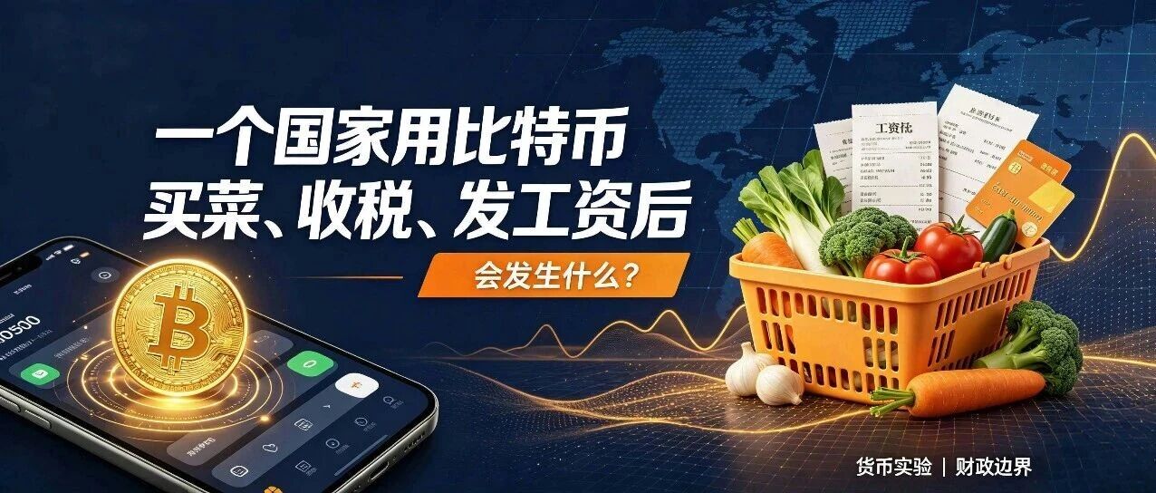 一个国家用比特币买菜、收税、发工资后会发生什么?