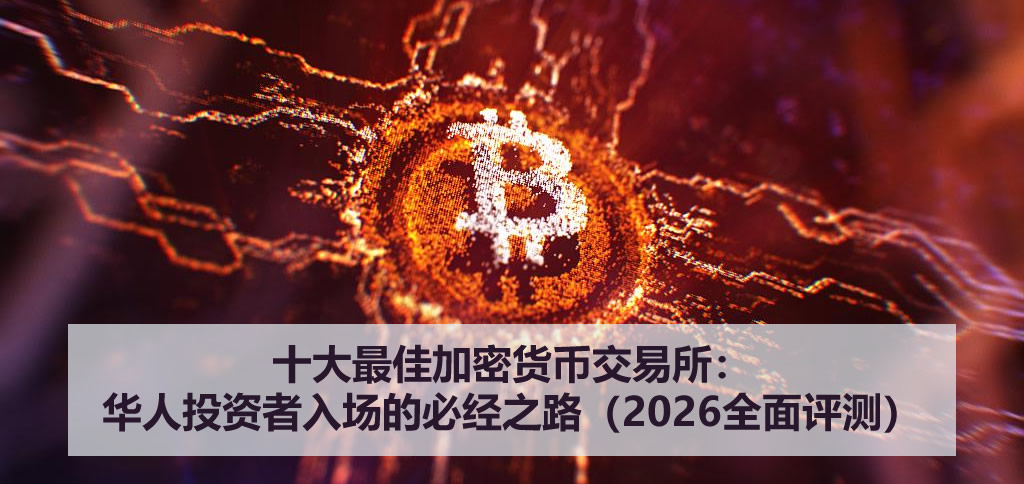 十大最佳加密货币交易所:华人投资者入场的必经之路(2026全面评测)