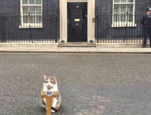 英国新首相伯纳姆首秀:将启动"40年来最大改革",重塑经济模式