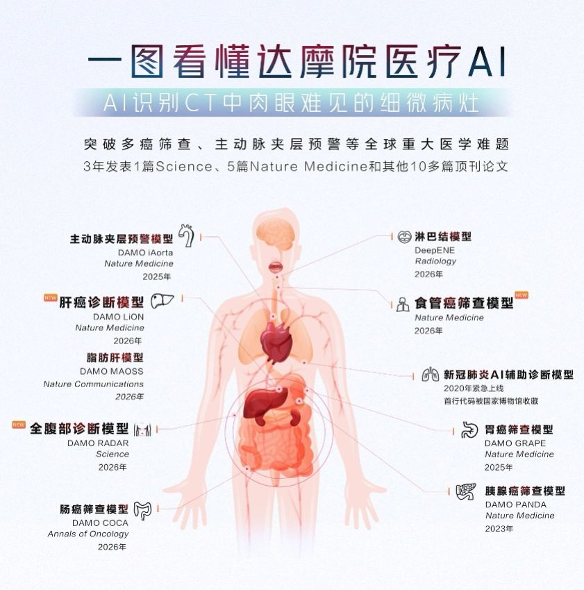 不插管的食管癌筛查,达摩院从一张肺部CT开始